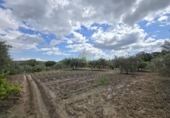 Chalet independiente con terreno en venta en la POLIGONO 15, Alborache, ref: TR394189 foto