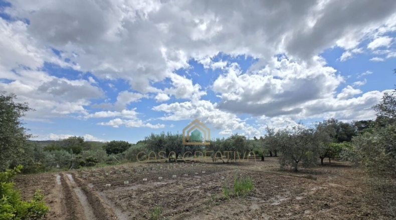 Valencia - Alborache - 160m2