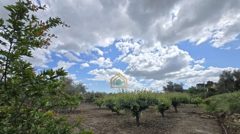 Valencia - Alborache - 160m2