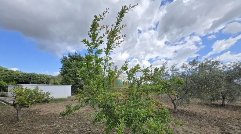 Valencia - Alborache - 160m2