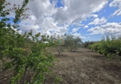 Chalet independiente con terreno en venta en la POLIGONO 15, Alborache, ref: TR394189 foto