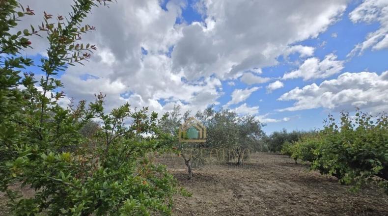 Valencia - Alborache - 160m2
