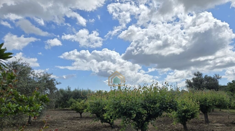 Valencia - Alborache - 160m2