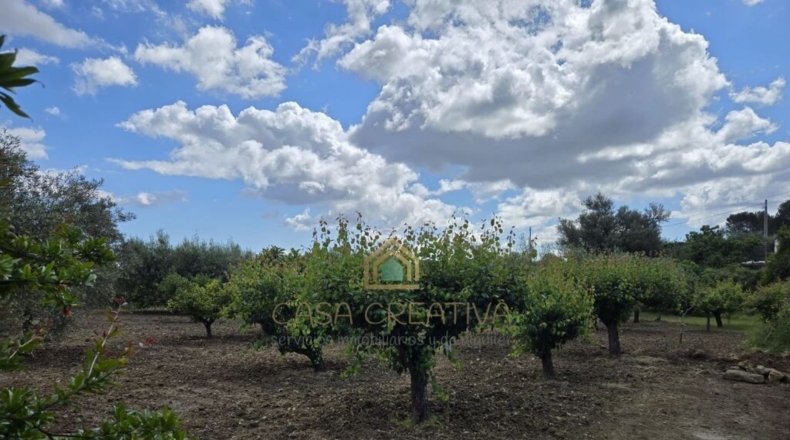 Valencia - Alborache - 160m2