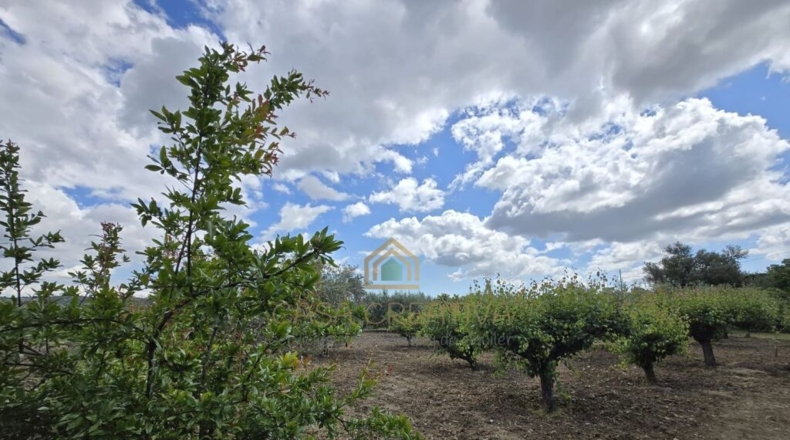 Valencia - Alborache - 160m2