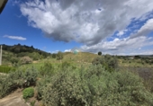 Chalet independiente con terreno en venta en la POLIGONO 15, Alborache, ref: TR394189 foto