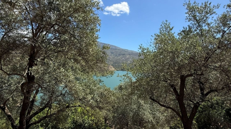 Granada - Pinos del Valle - 10000m2