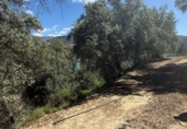 Non-developable land for sale in Pinos del Valle ref: TR409237 photo