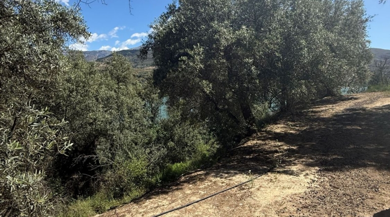 Granada - Pinos del Valle - 10000m2