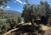 Non-developable land for sale in Pinos del Valle ref: TR409237 photo