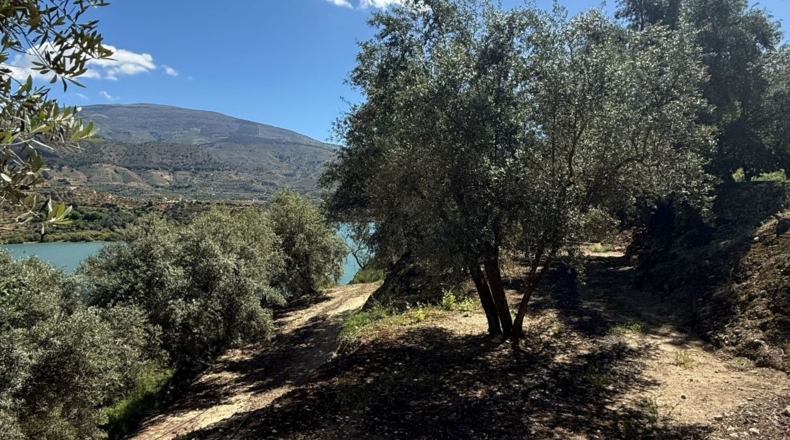 Granada - Pinos del Valle - 10000m2