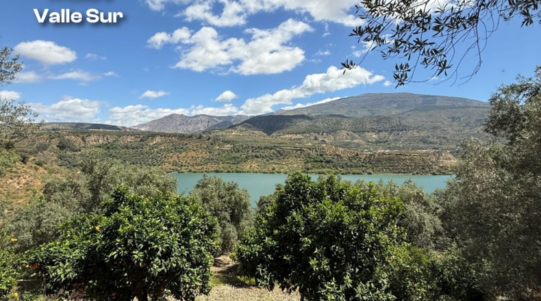 Granada - Pinos del Valle - 10000m2