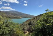 Non-developable land for sale in Pinos del Valle ref: TR409237 photo