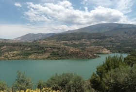 Foto 11