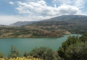 Non-developable land for sale in Pinos del Valle ref: TR409237 photo