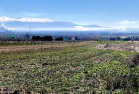 Pinos Puente 6076&nbsp;m²