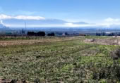 Non-developable land for sale on Carretera Estación de Íllora a Pinos Puente, Pinos Puente, ref: TR409232 photo