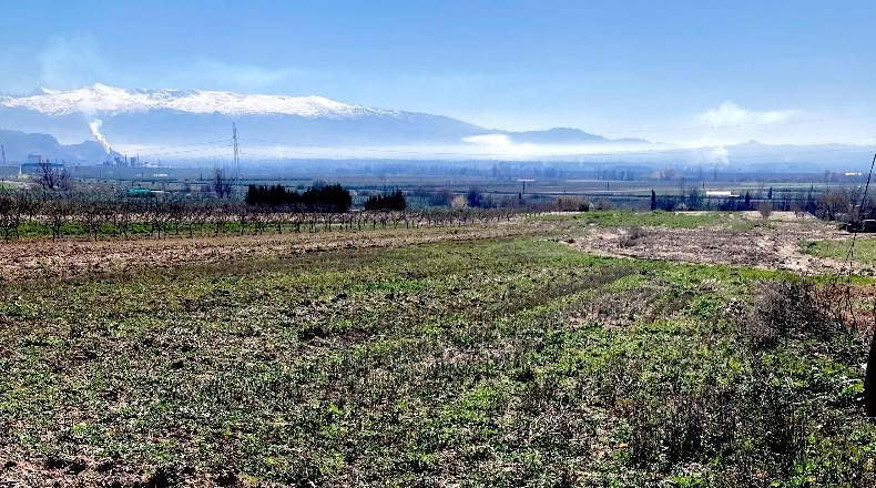 Granada - Pinos Puente - 6076m2