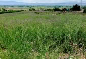 Non-developable land for sale on Carretera Estación de Íllora a Pinos Puente, Pinos Puente, ref: TR409232 photo