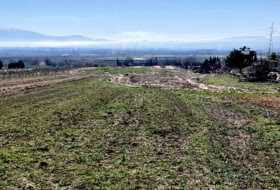 Pinos Puente 6076&nbsp;m²