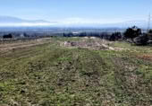 Non-developable land for sale on Carretera Estación de Íllora a Pinos Puente, Pinos Puente, ref: TR409232 photo