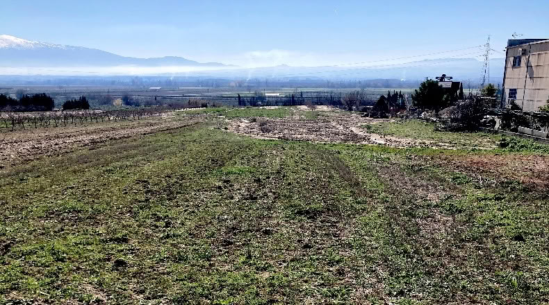 Granada - Pinos Puente - 6076m2