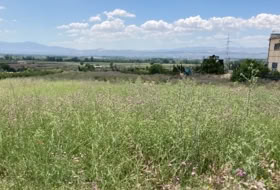 Pinos Puente 6076&nbsp;m²