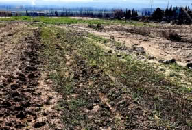 Pinos Puente 6076&nbsp;m²