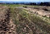 Non-developable land for sale on Carretera Estación de Íllora a Pinos Puente, Pinos Puente, ref: TR409232 photo
