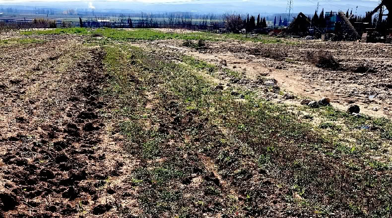 Granada - Pinos Puente - 6076m2