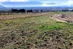 Pinos Puente 6076&nbsp;m²