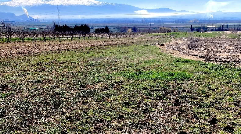 Granada - Pinos Puente - 6076m2