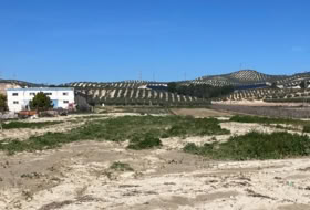 Pinos Puente 6076&nbsp;m²