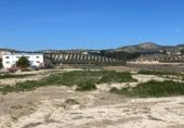 Non-developable land for sale on Carretera Estación de Íllora a Pinos Puente, Pinos Puente, ref: TR409232 photo