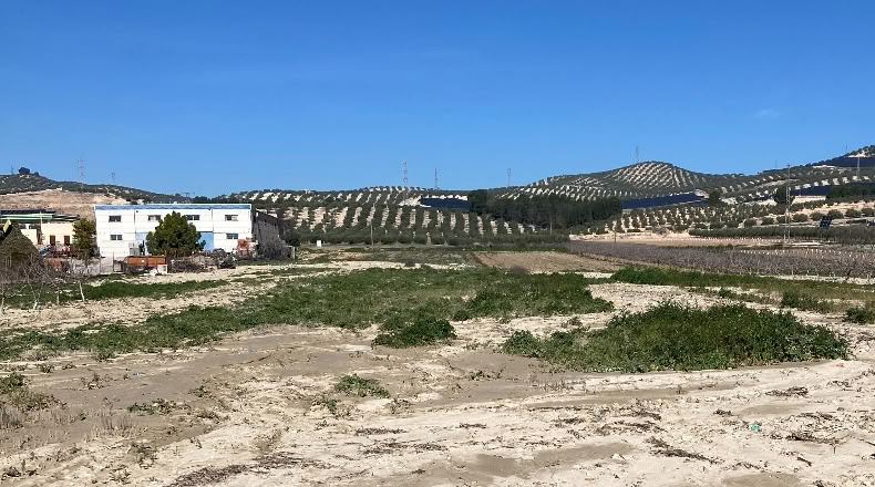 Granada - Pinos Puente - 6076m2