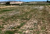 Non-developable land for sale on Carretera Estación de Íllora a Pinos Puente, Pinos Puente, ref: TR409232 photo