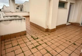Foto 19