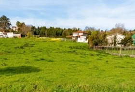 Cancelada 980&nbsp;m² 