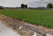 Terreny no urbanitzable en venda a la Camino de San Juan, Las Torres de Cotillas, ref.: TR228561 foto