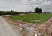 Terreny no urbanitzable en venda a la Camino de San Juan, Las Torres de Cotillas, ref.: TR228561 foto