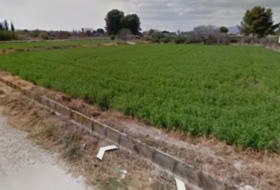 Foto 13