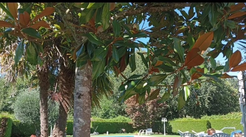 Orense - San Amaro - 1200m2