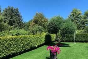 San Amaro 1200&nbsp;m² 