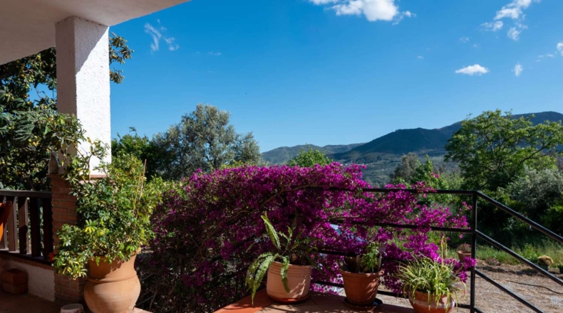 Granada - Talará - 1221m2