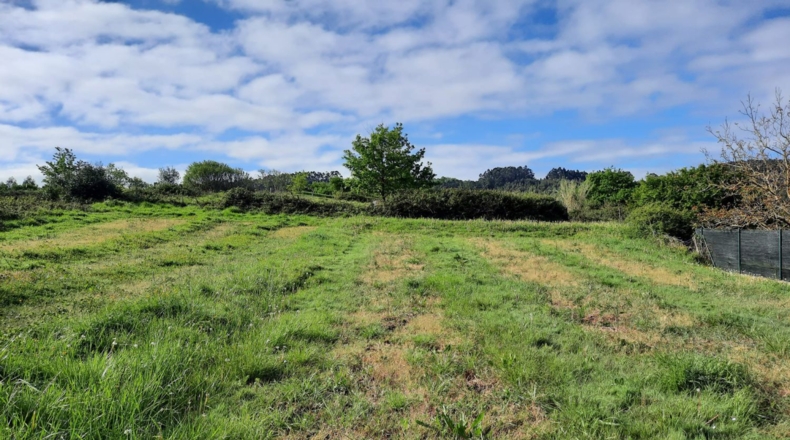 Biscaia - Plentzia - 2800m2