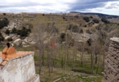 Дом с участком на продажу в городе Villafranca del Cid. Фото