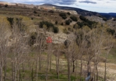 Дом с участком на продажу в городе Villafranca del Cid. Фото