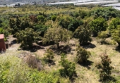 Фермерский дом с участком на продажу в городе Motril. Фото
