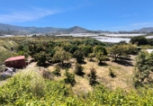 Фермерский дом с участком на продажу в городе Motril. Фото