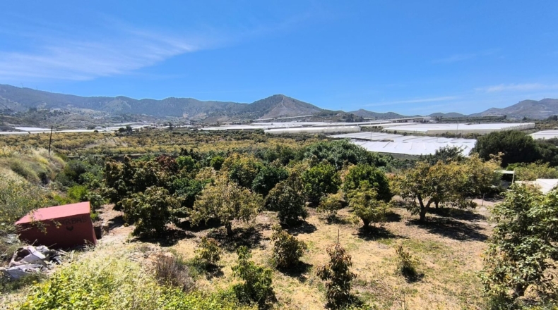 Granada - Motril - 238m2